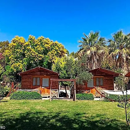 Ξενοδοχείο Pitosbungalows