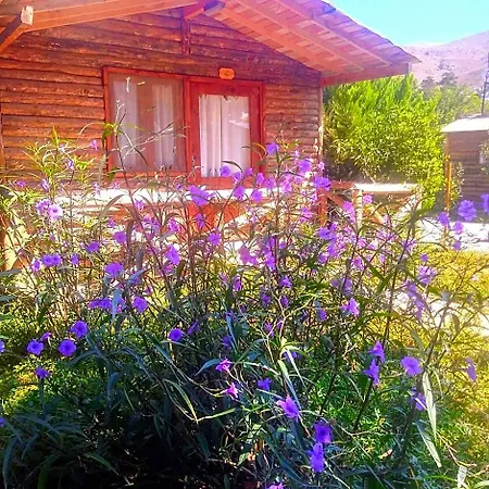 Pitosbungalows Ξενοδοχείο Αλικαρνασσός