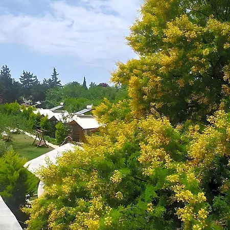 Pitosbungalows Αλικαρνασσός
