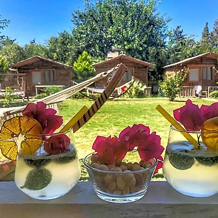 Pitosbungalows Ξενοδοχείο Αλικαρνασσός